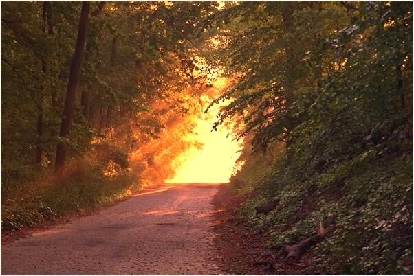 夢到她人終被跳樓是好事還是壞事_周公解夢官網