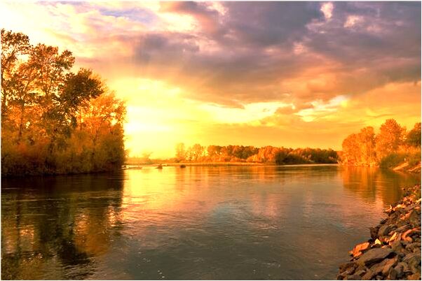 夢到買油炸素丸子當貢品是什麼意思_周公解夢官網