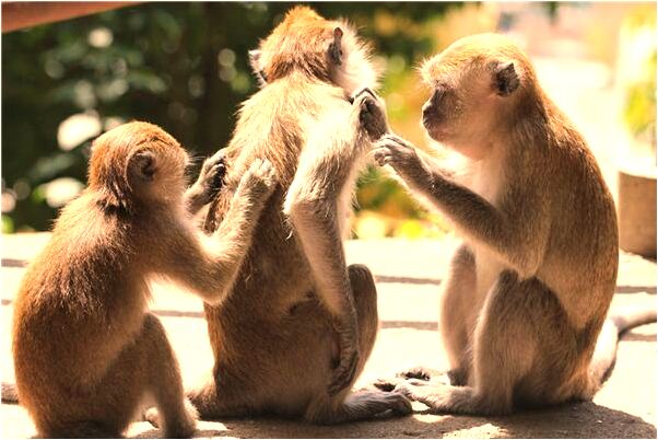 夢到了在路上有人下葬是什麼意思_周公解夢官網