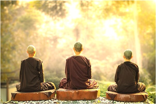 夢見貓傷人好不好_周公解夢官網