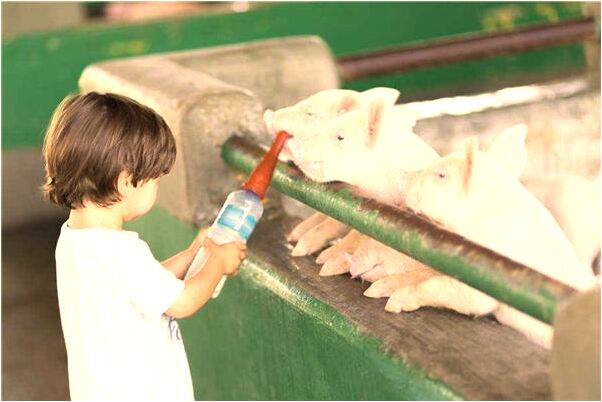 夢到姐姐絲襪爛了是好是壞_周公解夢官網