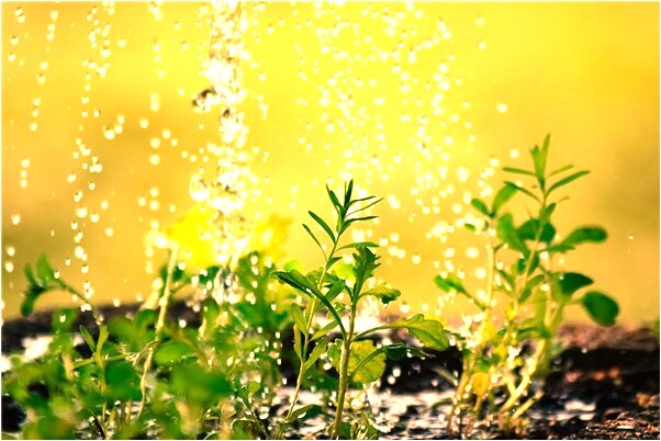 夢見賣豆腐是森么意思是什麼意思_周公解夢官網