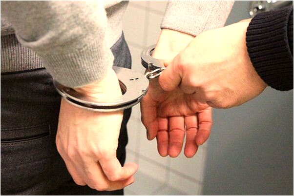 夢見自己手裡拿著烏龜想要養它代表著什麼?_周公解夢官網