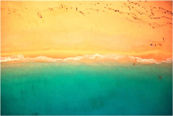 夢到了女人母雞下蛋去撿雞蛋意味著什麼_周公解夢官網