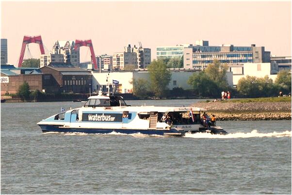 夢見喜歡的人對自己提出條件預示著什麼_周公解夢官網