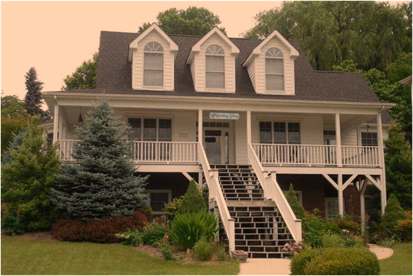 夢到自己救烏龜沒救成死了代表什麼_周公解夢官網