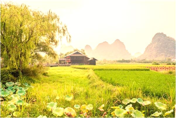 夢到了弟弟跳下水裡叫不出來啥意思_周公解夢官網