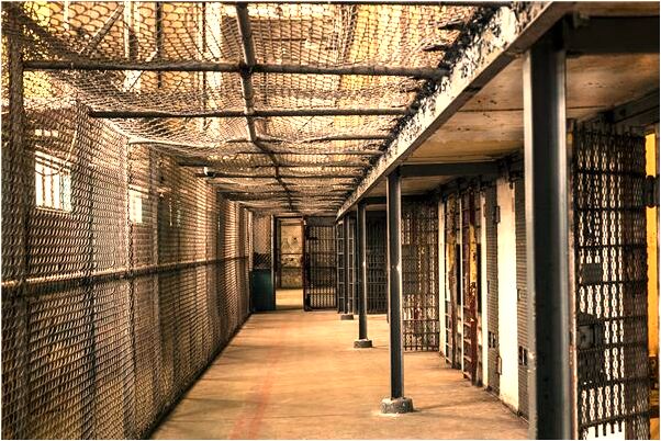 夢到了寶寶臉上好多小白蟲是好的徵兆嗎_周公解夢官網