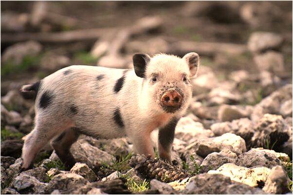 夢到男女光身在路上預示著什麼_周公解夢官網