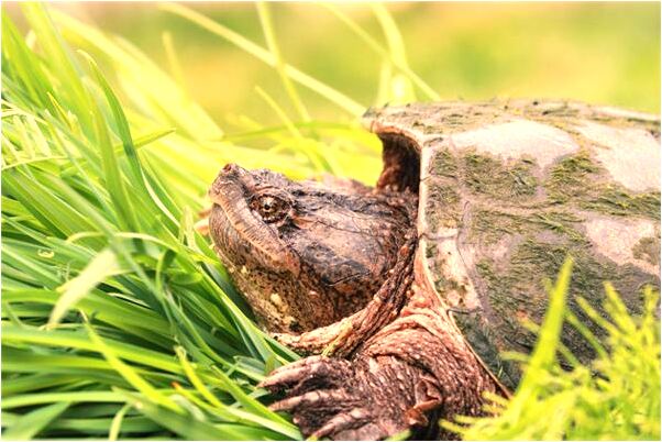 夢到了兩個一模一樣的男朋友預兆了什麼嗎_周公解夢官網