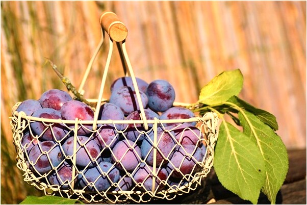 夢到了交了個離過婚的女朋友的預兆_周公解夢官網