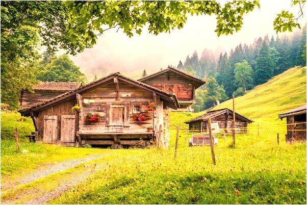 夢到自己女兒被電死怎么說_周公解夢官網