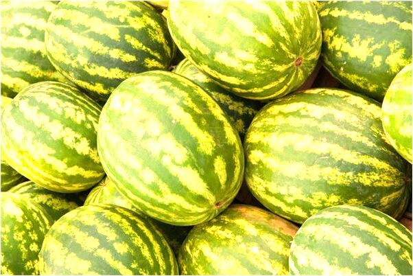 夢見和小時候同伴聊天是好的徵兆嗎_周公解夢官網