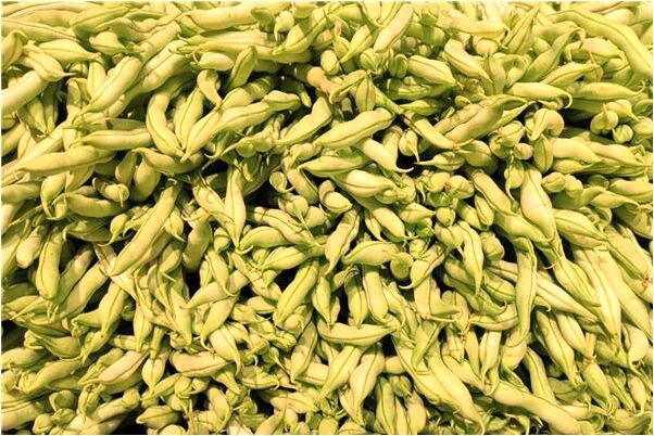 夢見穿白衣服的死人會怎么樣_周公解夢官網