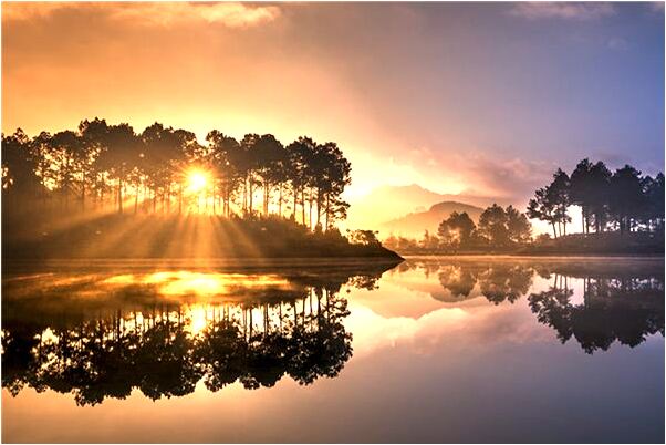 夢到嫂子勾引我意味著什麼_周公解夢官網