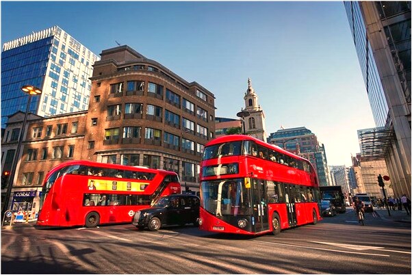 夢到了好多馬在路上跑意味著什麼_周公解夢官網