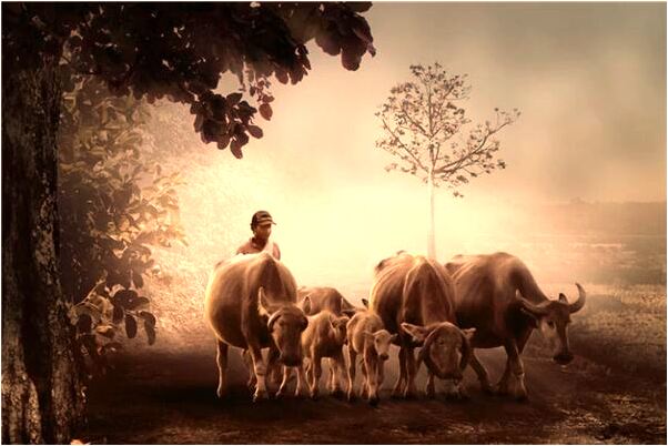 夢到鄰居蓋新樓預示著什麼_周公解夢官網