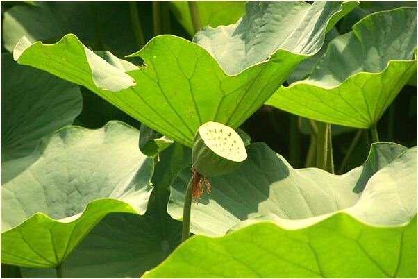 夢到了別人不願和我同行是什麼徵兆_周公解夢官網