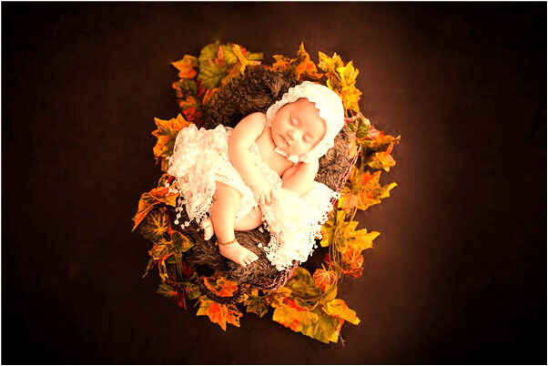 夢見整池魚死是什麼預兆？_周公解夢官網