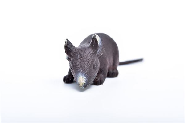 夢見抓住老鼠_周公解夢