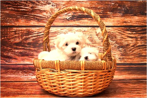 夢到了小時候的夥伴變得好酷是什麼意思？_周公解夢官網