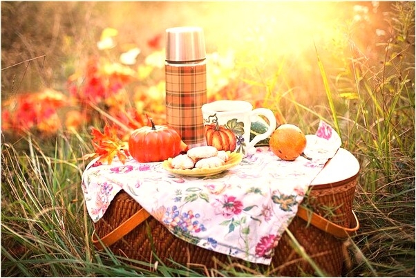 夢見摘別人家的柿子會有什麼預兆_周公解夢官網