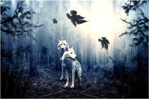 夢到順風快遞意味著什麼_周公解夢官網