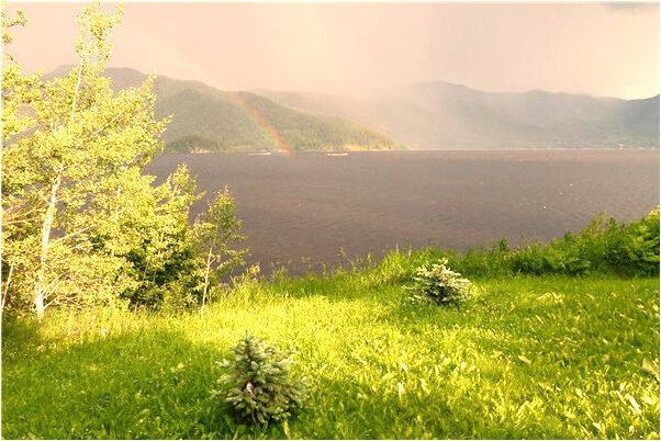 夢見兒子的衣服被水沖走什麼預兆_周公解夢官網