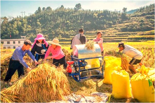 夢到了媽媽死的很恐怖什麼預兆_周公解夢官網