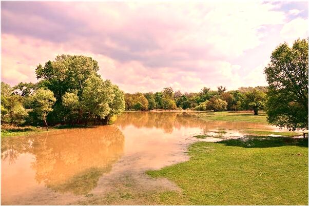夢到水裡一條白蛇是凶兆還是吉兆_周公解夢官網