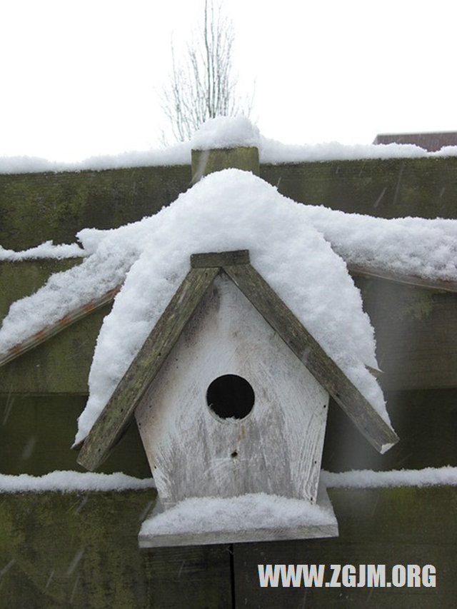 夢見滿臉痘痘_周公解夢夢到滿臉痘痘是什麼意思_做夢夢見滿臉痘痘好不好_周公解夢官網