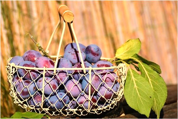 夢到了冰櫃里有情侶杯是什麼意思_周公解夢官網