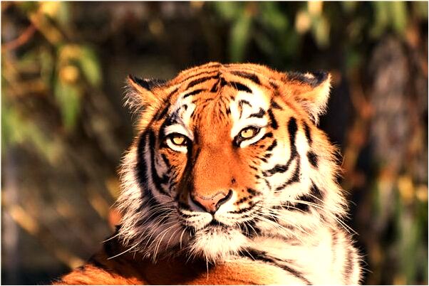 夢到帶孩子逃亡有什麼預示嗎_周公解夢官網