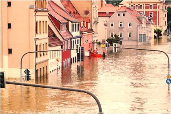 夢到了看見狗和女人做愛代表著什麼_周公解夢官網