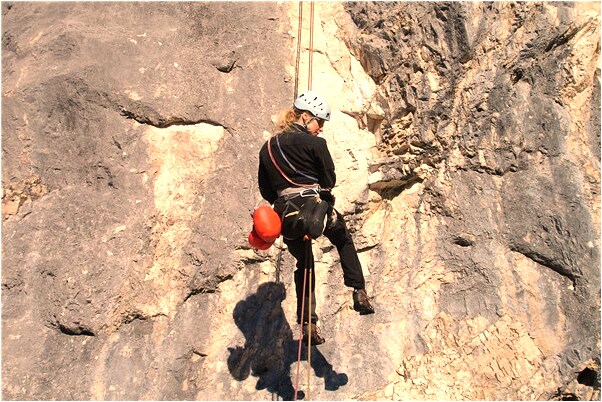 夢到了狗咬腳出血嚴重什麼寓意_周公解夢官網