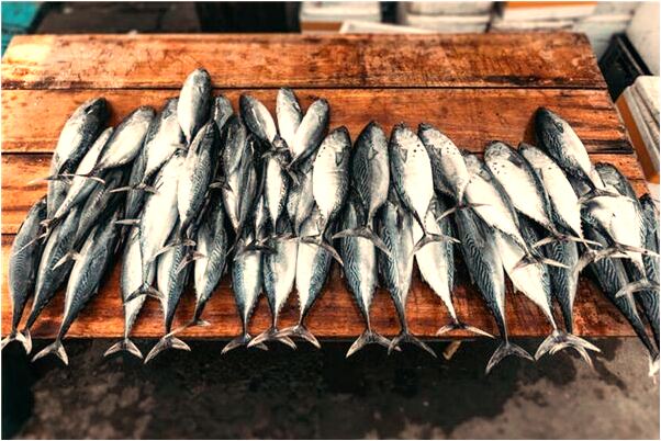 夢到了自己中毒吐血是吉兆嗎?_周公解夢官網