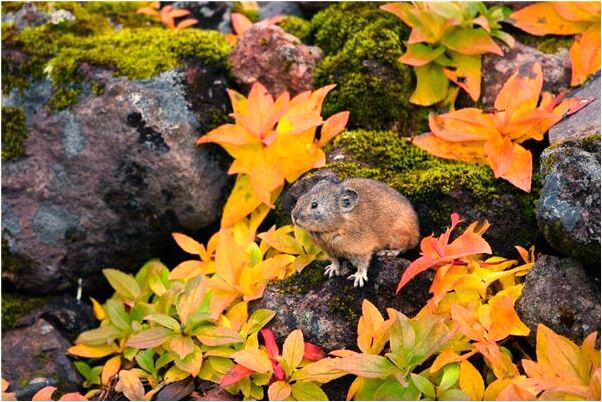 夢到了鬼小孩喊我有什麼寓意嗎_周公解夢官網