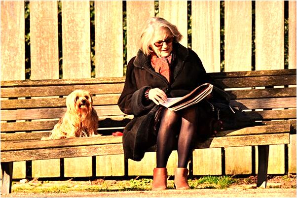 夢到一隻白色的蜘蛛有什麼寓意嗎？_周公解夢官網