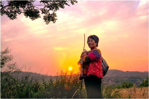 夢到了連續兒子生病預示著什麼_周公解夢官網