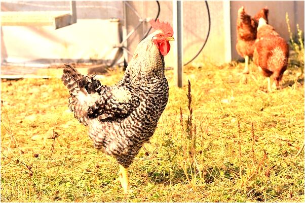 夢見地上有錢沒撿有什麼預示嗎_周公解夢官網