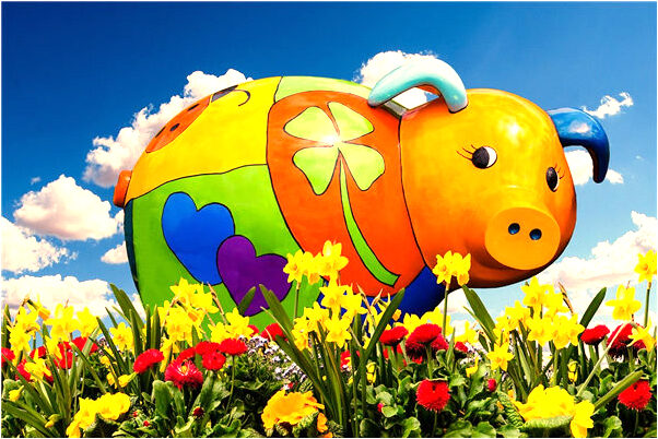 夢到了黑色鯉魚親近他人預兆了什麼嗎_周公解夢官網