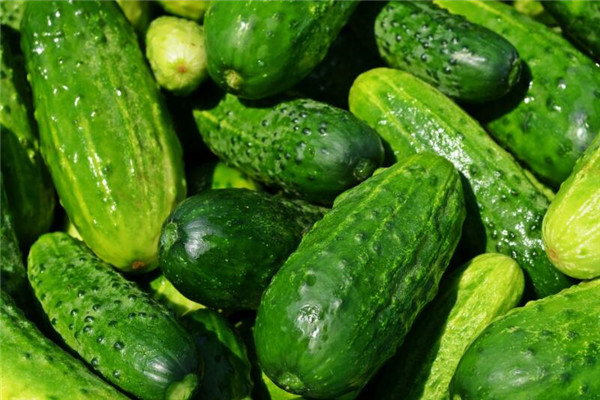 夢見吃黃瓜是什麼兆頭_周公解夢