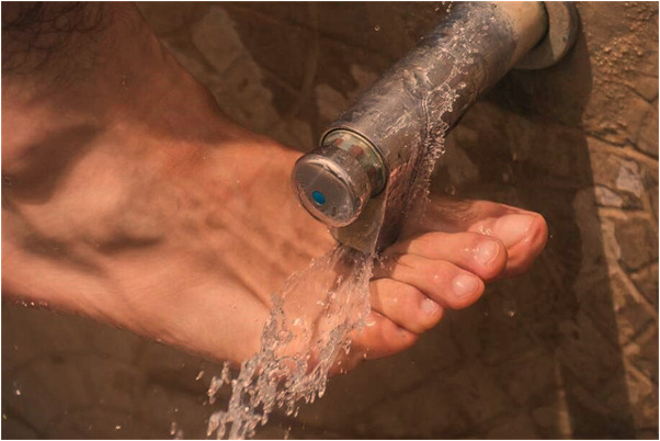 夢見前面有一豎排樹預示什麼_周公解夢官網