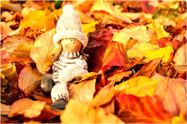 夢到了別人把自己的衣服丟了是什麼意思_周公解夢官網