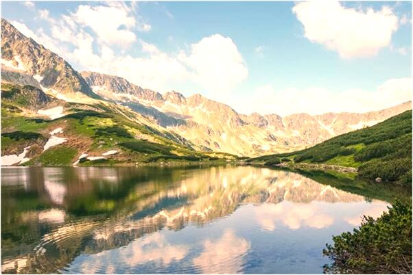 夢見釣上巨型鯰魚代表什麼_周公解夢官網