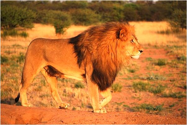 夢到了和仇人在一起代表著什麼_周公解夢官網