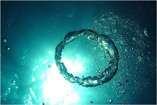 夢見有人罵我傻逼是什麼兆頭_周公解夢官網