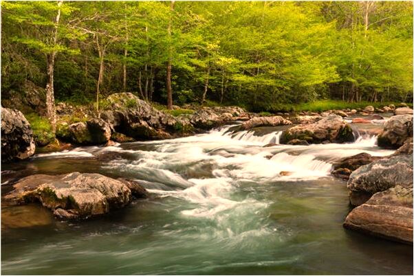 夢見生下一個男孩代表著什麼_周公解夢官網