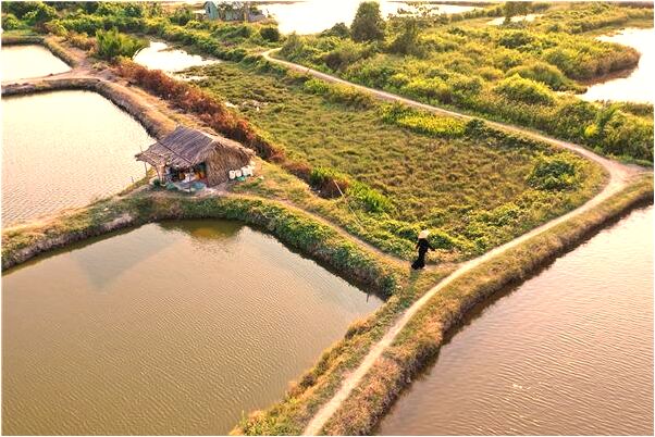 夢到會飛王八意味什麼_周公解夢官網