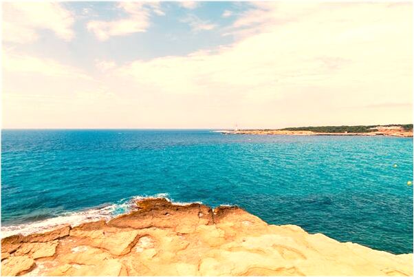 夢到大黑蜂及幼蜂一窩死有什麼寓意嗎？_周公解夢官網